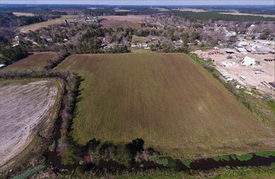 0 Alton Rd, Norman Park, GA 31017 - photo 4