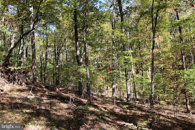 0 River View Place unit VAPA2005486, Shenandoah, VA 22849 - photo 3