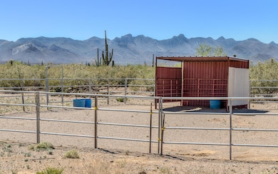 Horse Facilities with a View