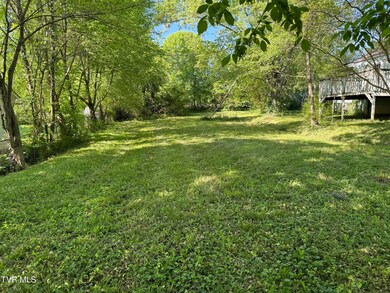 309 Roosevelt St, Johnson City, TN 37601 - photo 3