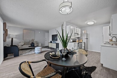 Open Concept