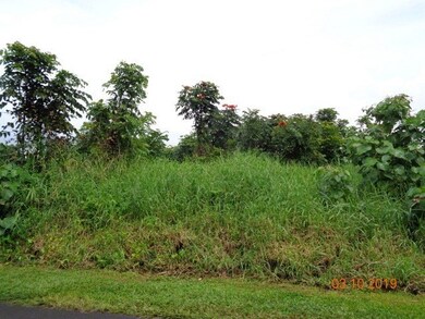 0 W Lanikaula St, Hilo, HI 96720 - photo 2