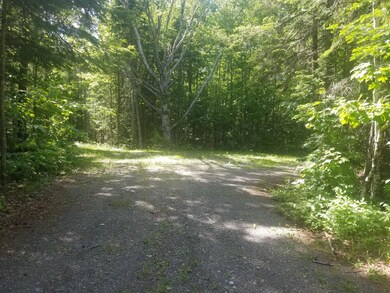 20190624_153203_resized