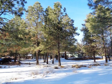 8584 W Elk Rd, Strawberry, AZ 85544 - photo 3