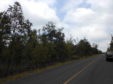 0 Paradise Pkwy unit 258144, Ocean View, HI 96737 - photo 4