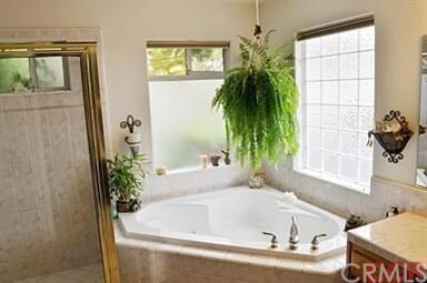 master bath w/ jetted tub