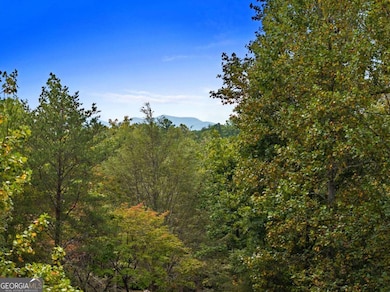 55 Trails End Ln, Morganton, GA 30560 - photo 5