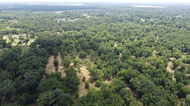 0 Hwy 3n unit 161947, Baconton, GA 31716 - photo 5