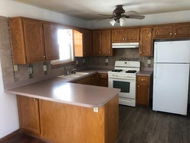 207 S Darrowby Dr, Raymore, MO 64083 - photo 4