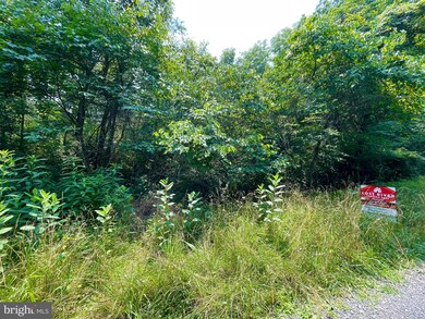 A11 Mount Laurel Cir, Lost River, WV 26810 - photo 4