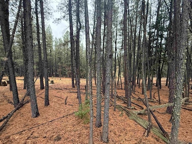 Lot 75 San Juan Dr, Angel Fire, NM 87710 - photo 3