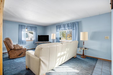 69617 Eisenhower Rd, Sturgis, MI 49091 - photo 3