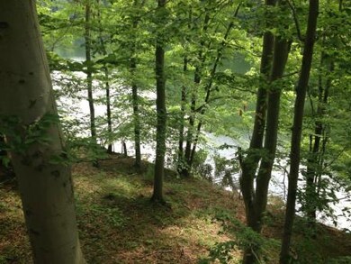 Deck view