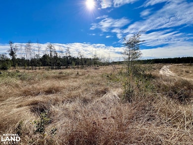 0 Bud Odom Rd unit 25514042, Deer Park, AL 36529 - photo 7