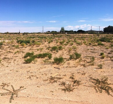 14951 Aurea St, Clint, TX 79836 - photo 5