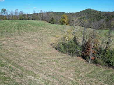 000 Field Hollow Rd, Spencer, WV 25276 - photo 5