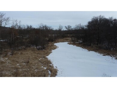 TBD Sand Road Rd, Mondovi, WI 54755 - photo 7