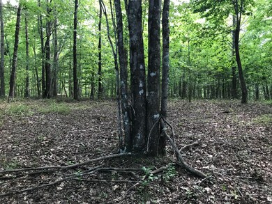 IMG_8562