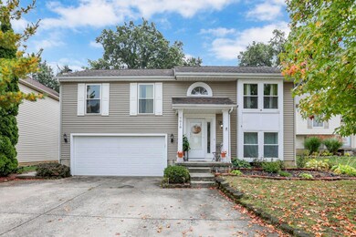 5-web-or-mls-0D3A9442 copy