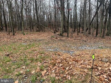 19-A Sparrow Hill Rd, Bloomery, WV 25434 - photo 7