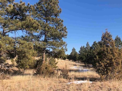 Big Sky 9 Elk Run Rd unit Canyon Rim Ranch, Custer, SD 57730 - photo 7