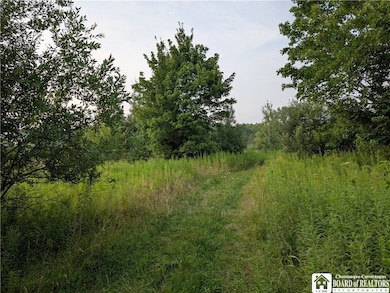 2088 East Rd, Sinclairville, NY 14782 - photo 3