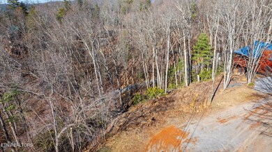 dji_20250129132936_0014_d