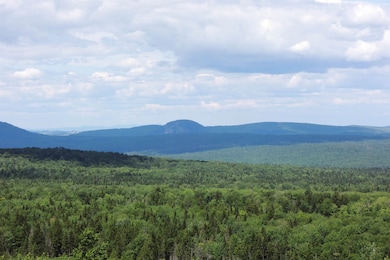 3383 I P, Morgan, VT 05853 - photo 6