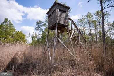 0 Andrews Rd unit MDDO2004556, Crapo, MD 21626 - photo 5