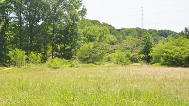 Lot 5 Photo
