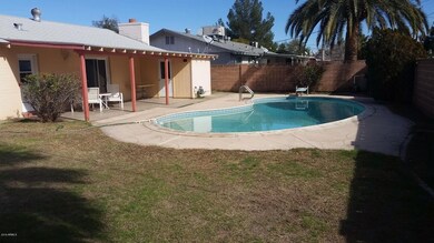Back yard