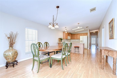 37539 Gill Ave, Zephyrhills, FL 33541 - photo 5