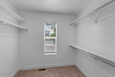 Walk in closet with light colored carpet