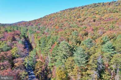 0 Liberty Furnace Rd unit VASH2004718, Edinburg, VA 22824 - photo 5