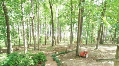 Nice Wooded Lot 