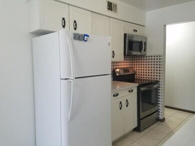 1525 E Thacker St unit 2D, Des Plaines, IL 60016 - photo 7