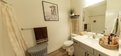 Bathroom with vanity, wood finished floors, and a shower with shower curtain