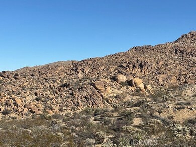 7085 Alturas Dr, Joshua Tree, CA 92252 - photo 4