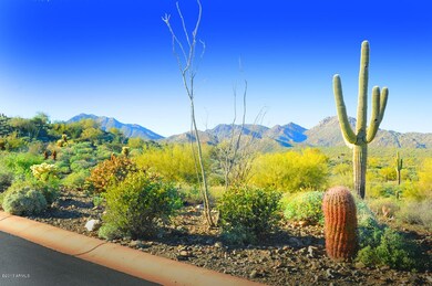 R-Lot#31 Desert Tortoise Trail-Eagles Ne