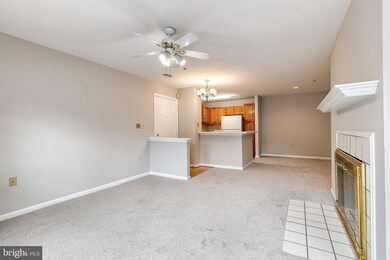 4408 Silverbrook Ln unit K201, Owings Mills, MD 21117 - photo 7