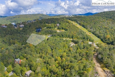 11 Fox Crest Rd, Beech Mountain, NC 28604 - photo 7