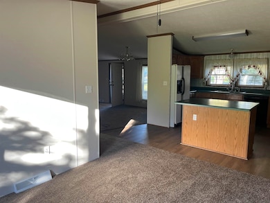 10314 Baker Dr, Clio, MI 48420 - photo 6