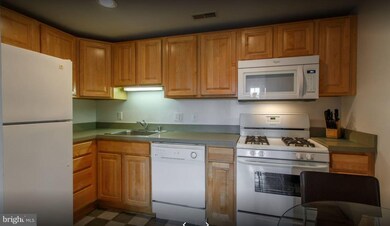 724 S Wolfe St unit 5A, Baltimore, MD 21231 - photo 4