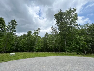 IMG_9463