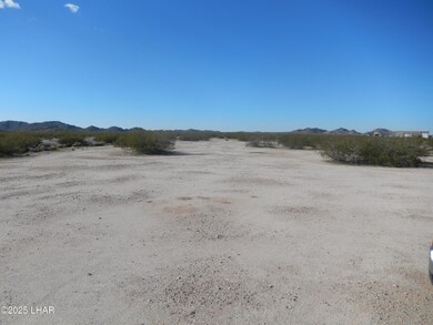 40485 Granite Ln, Salome, AZ 85348 - photo 3