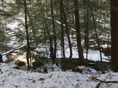 11 Conner Pond Rd, Center Ossipee, NH 03814 - photo 4