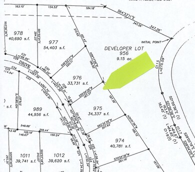 Plat map Lot 975