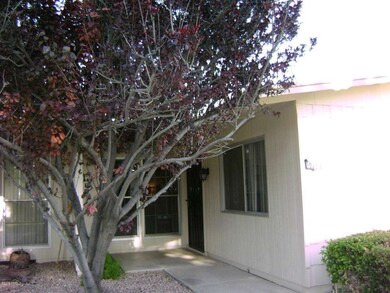 10711 W Santa fe Dr, Sun City, AZ 85351 - photo 4