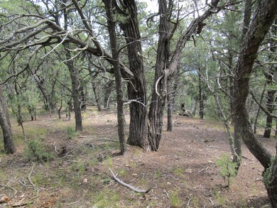 33024 Ponderosa Ridge Dr, Trinidad, CO 81082 - photo 6