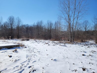 10344 N State Road 39, Laporte, IN 46350 - photo 5